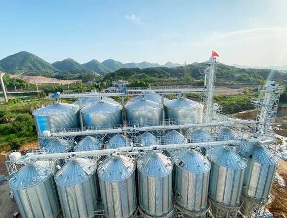 豐尚與湘佳牧業攜手打造行業預混料標桿工廠，助力飼料生產智能化升級
